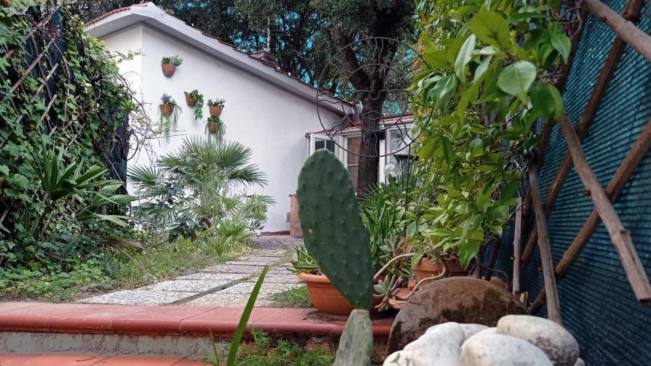 Villetta La Gabbianella Livorno Exteriör bild